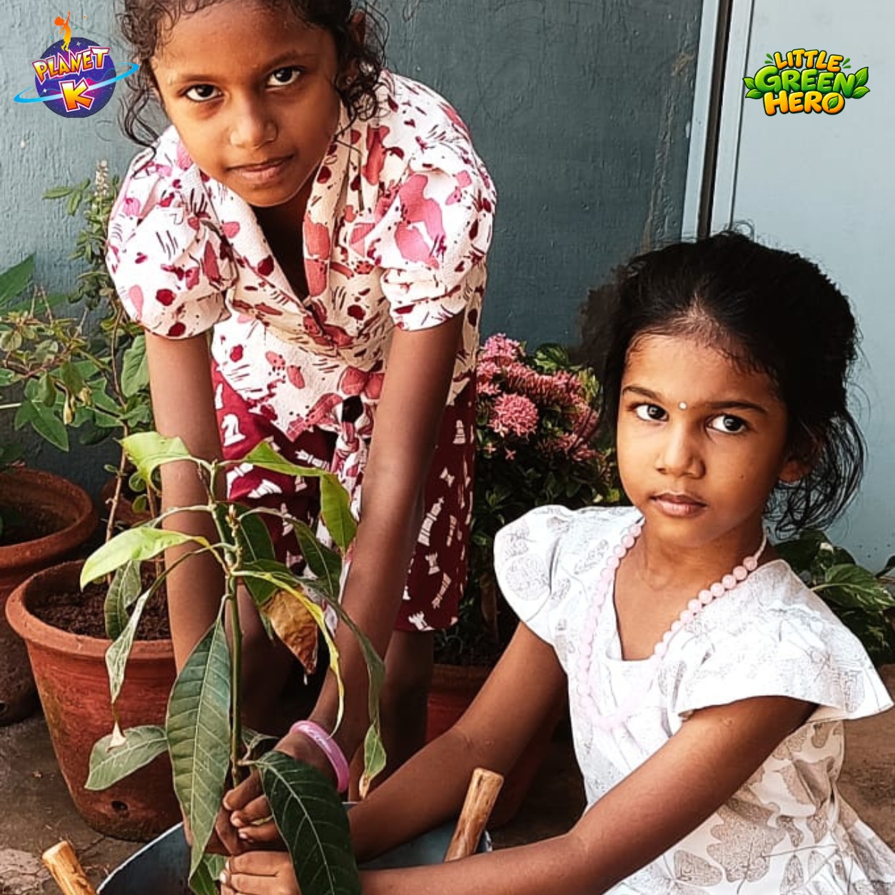 Planet K Sapling Plantation Event